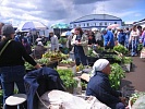 Центральный рынок Ижевска, (рынок на Сенной)